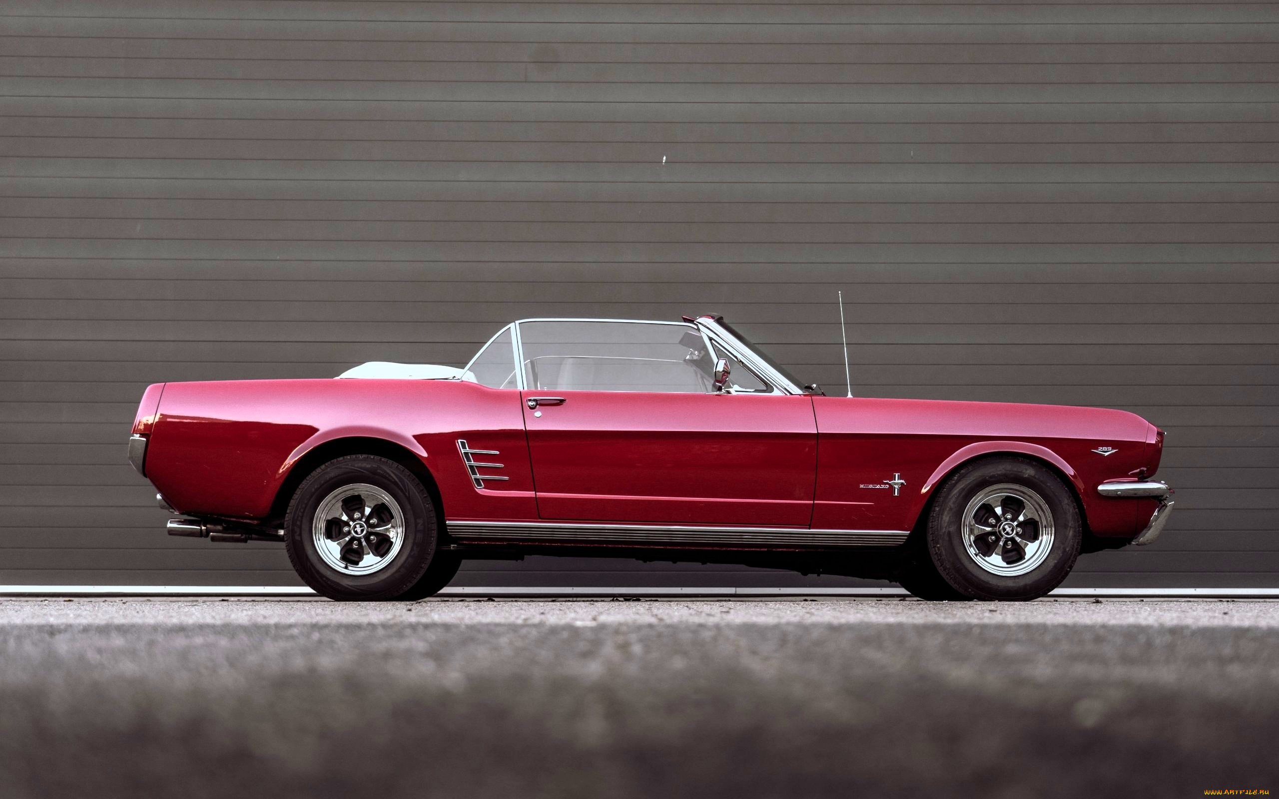 , mustang, , , 